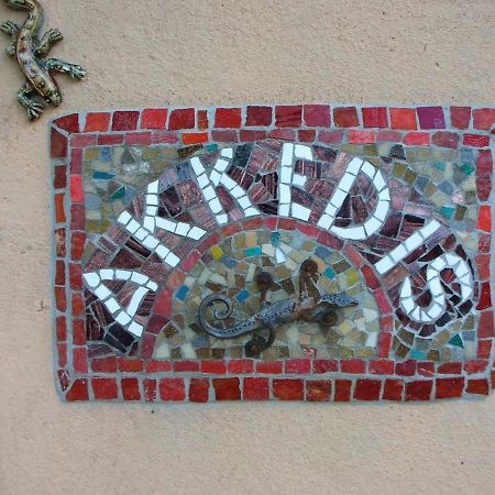 프란쉬후크 Akkedis At Artemis 아파트 외부 사진